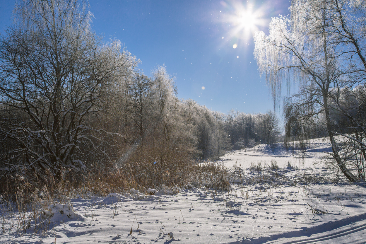 Winterlandschaft - ©Ralph Sturm