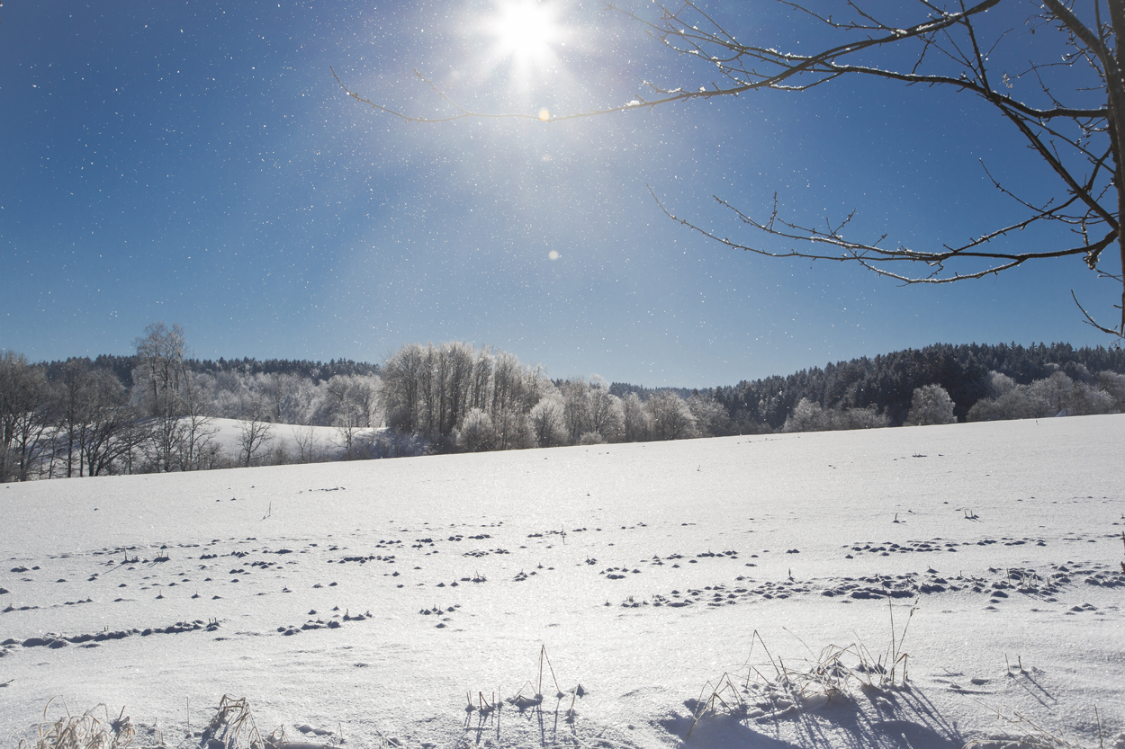 Winterlandschaft - ©Ralph Sturm