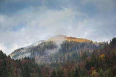 Herbstlicht am Wildbarren- ©Ralph Sturm