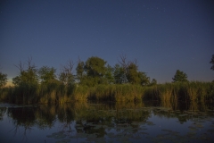 Weiher bei Nacht - ©Ralph Sturm